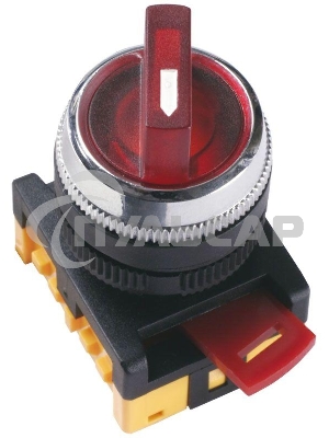 Переключатель ANC-22-2 на 2 фикс. полож. кр. 1з+1р ИЭК BSW10-ANC-2-K04