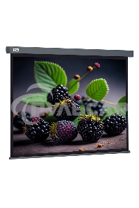 Экран Cactus 127x127см Wallscreen CS-PSW-127X127-SG 1:1 настенно-потолочный рулонный серый