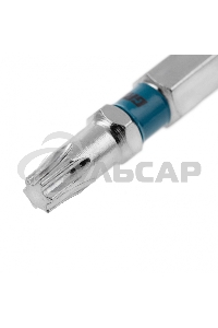 Набор бит TORX 25х50, сталь S2, 10 шт. Gross