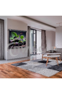 Экран Cactus 127x127см Wallscreen CS-PSW-127X127-SG 1:1 настенно-потолочный рулонный серый