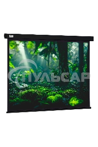 Экран Cactus 213x213см Wallscreen CS-PSW-213X213-BK 1:1 настенно-потолочный рулонный черный