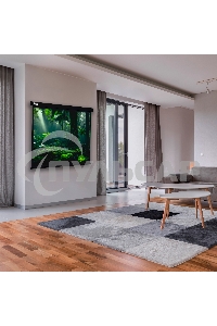 Экран Cactus 213x213см Wallscreen CS-PSW-213X213-BK 1:1 настенно-потолочный рулонный черный