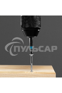 Набор бит TORX 25х50, сталь S2, 10 шт. Gross