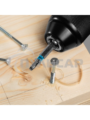 Набор бит TORX 25х50, сталь S2, 10 шт. Gross