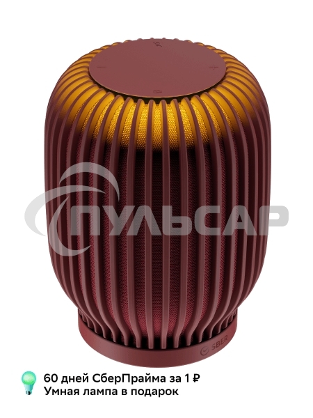 Акустическая система серии SberBoom модели SBDV-00090, терракотовый, торговой марки SBER