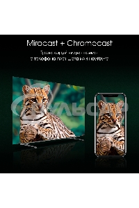 Телевизор Digma 65