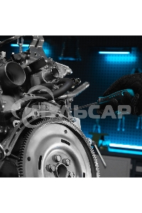 Набор инструментов 115 пред., 120 зубьев, CrV, 1/4