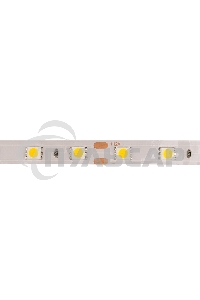 Лента светодиодная открытая, 10 мм, IP23, SMD 5050, 60 LED/m, 12 V, цвет свечения теплый белый
