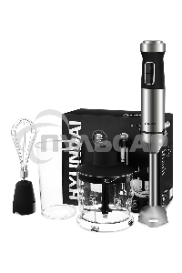 Блендер погружной Hyundai HYB-H5231 1200Вт черный