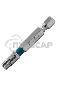 Набор бит TORX 30х50, сталь S2, 10 шт. Gross