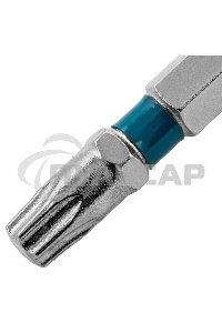 Набор бит TORX 30х50, сталь S2, 10 шт. Gross