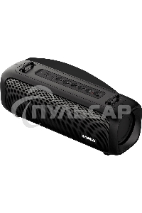 Портативная колонка Hyundai H-PS1020 черный 16W 2.0 BT 10м 1500mAh