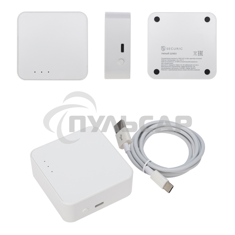 Умный шлюз Securic SEC-GT-101 