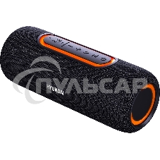 Портативная колонка Hyundai H-PS1021 черный/черный 25 Вт 1.0 BT 10м 1500mAh