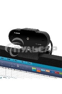 Веб-камера ExeGate GoldenEye C300 Full HD (матрица 1/4