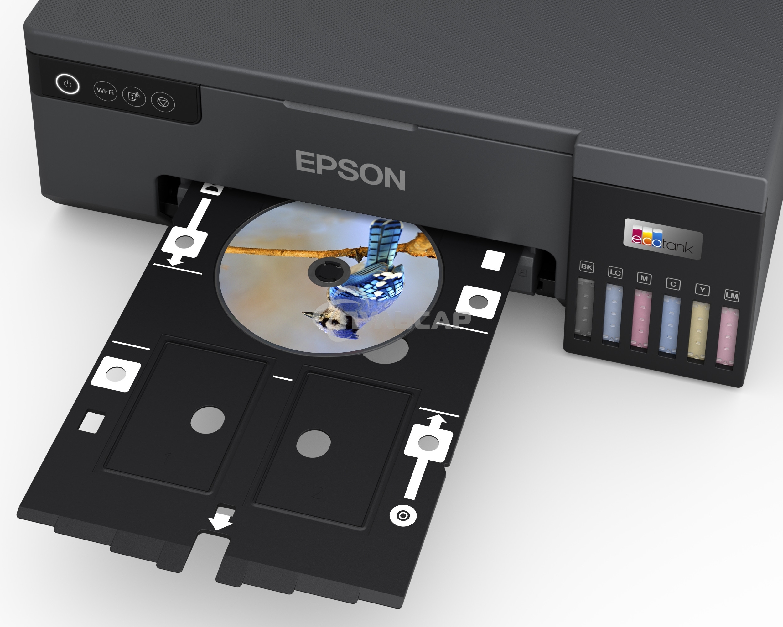 Принтер струйный Epson L8050 (C11CK37405/C11CK37402/C11CK37504/C11CK37507/C11CK37506), A4, цветное, печ. до 8 стр/мин., 1440 x 5760 dpi, USB, Wi-Fi