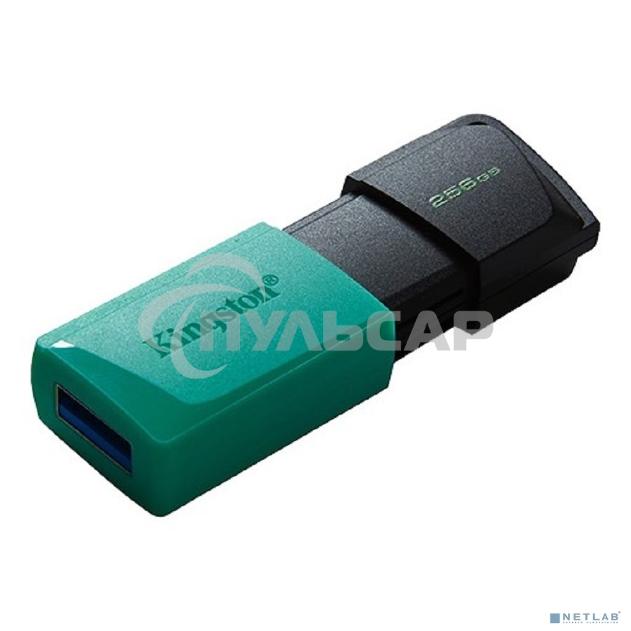 Флешка USB Kingston 256 Gb DataTraveler DTXM DTXM/256 Gb USB 3.2 черный/зеленый