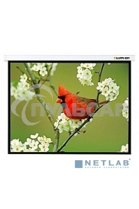 Экран Lumien 141x210см Master Picture LMP-100133 16:10 настенно-потолочный рулонный