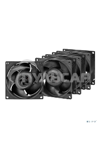 Комплект вентиляторов для корпуса Arctic S8038-10K (4 Pack) черный, 80 мм, 10000 об/мин, 4 pin