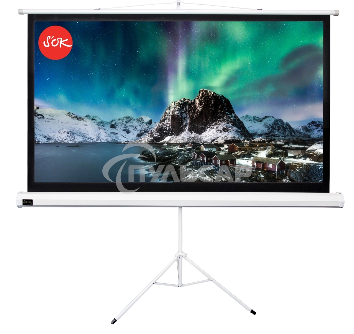 Экран 221x124.5см TriScreen 16:9 напольный рулонный белый100' Matt White (MW)