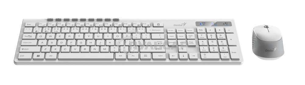 Комплект беспроводной Genius Smart KM-8230 белый, клавиатура+мышь, USB, 1 мини-ресивер на оба устройства. Клавиатура: 104 клавиши кнопка SmartGenius, клавиши т
