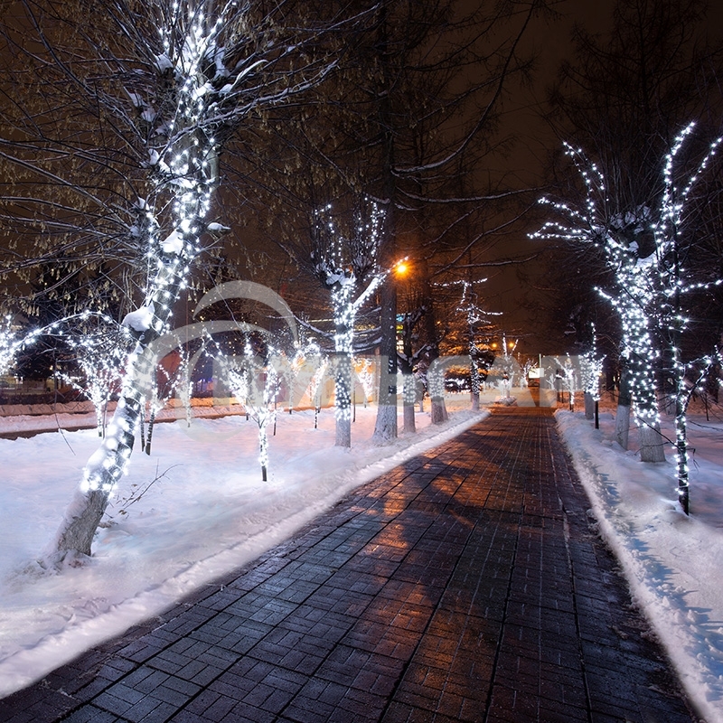 Гирлянда Neon-night LED Клип-лайт 12 V, прозрачный ПВХ, 150 мм, цвет диодов белый