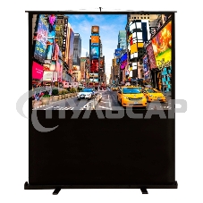 Экран Cactus 113x200см FloorCompactExpert CS-PSFLCE-200X113 16:9 напольный рулонный
