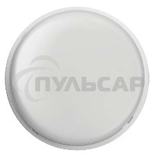 Светильник LED 61 877 OBL-R2-12-6.5K-WH-IP65-LED (Аналог НПП) ОНЛАЙТ