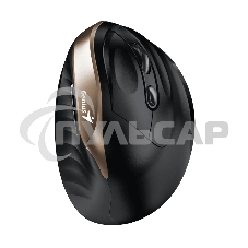 Мышь беспроводная Genius Ergo 8250S черный, 1600 dpi, радиоканал, USB, кнопки - 6