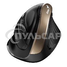 Мышь беспроводная Genius Ergo 8250S черный, 1600 dpi, радиоканал, USB, кнопки - 6