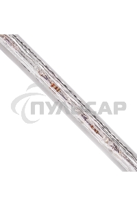 Дюралайт Neon-night LED, постоянное свечение (2W) - синий, 24 LED/м, Ø10мм, бухта 100м