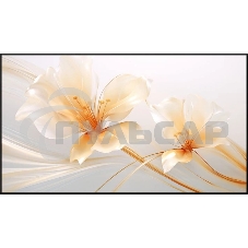 Экран на раме Xgimi 127.6x224.5см 100