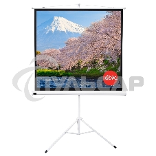 Экран Sakura 180x180см TriScreen 1:1 напольный рулонный белый100' Matt White (MW), серый корпус