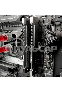 Оперативная память Patriot Viper Steel, DDR4, 32Gb (2x16 Gb), 3200 MHz, CL16, DIMM, радиатор, черный