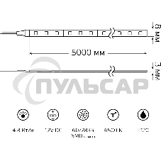 Лента светодиодная Gauss Elementary 5м