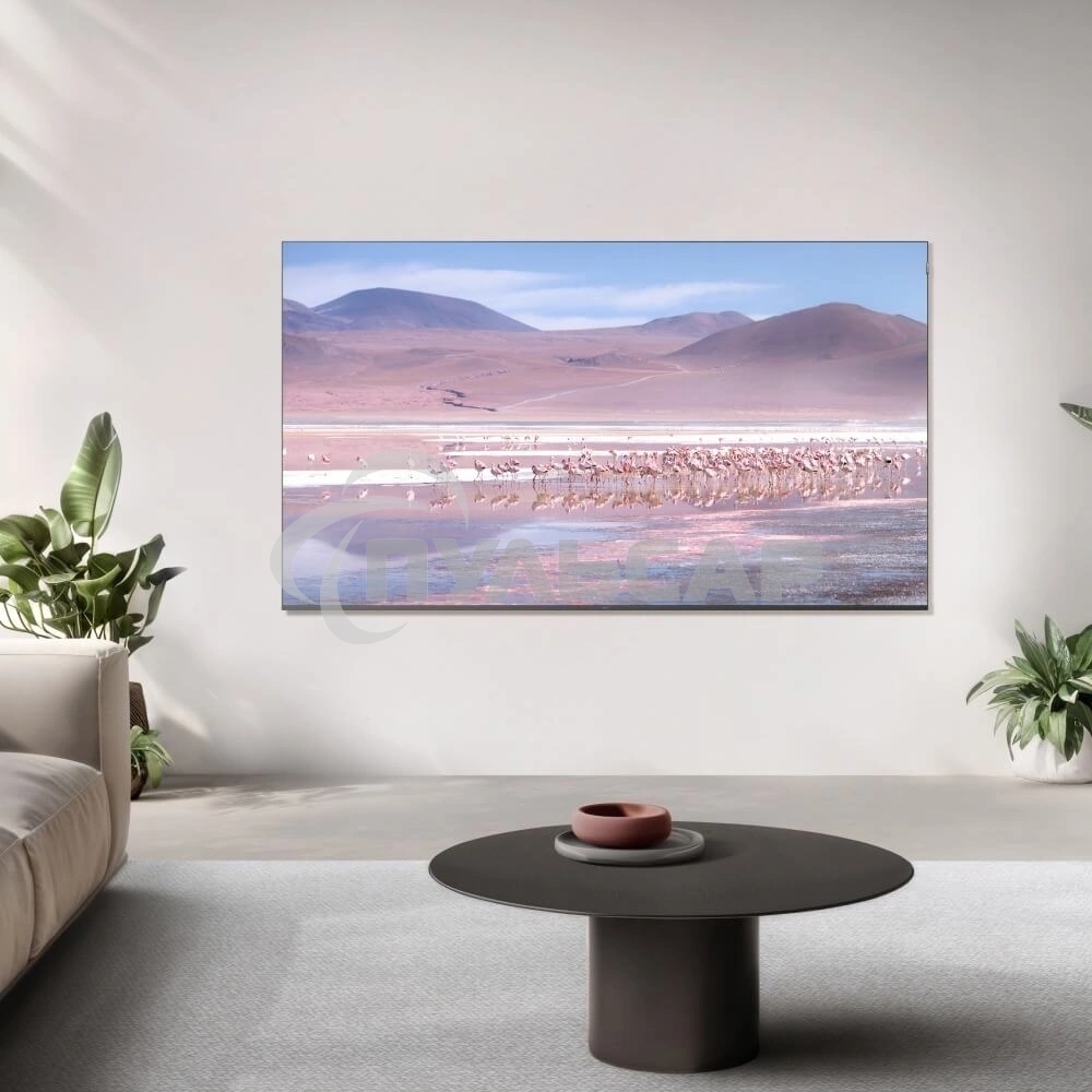 Телевизор TCL 55