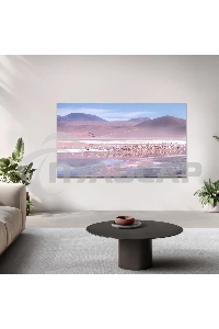 Телевизор TCL 55