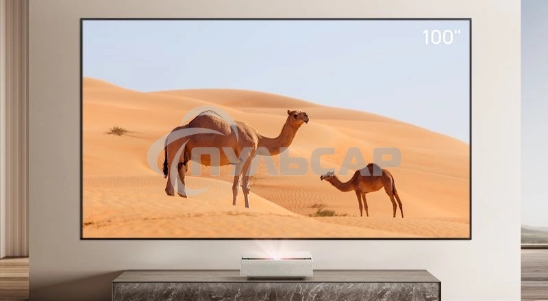 Экран на раме Xgimi 127.6x224.5см 100