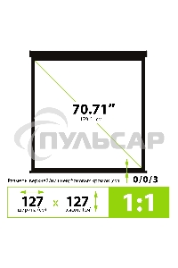 Экран Cactus 127x127см Wallscreen CS-PSW-127X127-BK 1:1 настенно-потолочный рулонный черный