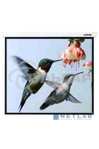 Экран Lumien 305x406см Master Control LMC-100112 4:3 настенно-потолочный рулонный (моторизованный привод)