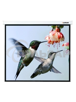Экран Lumien 280x202см Master Picture LMP-100117 16:9 настенно-потолочный рулонный