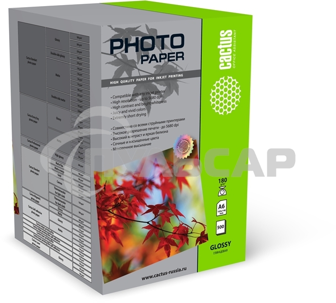 Фотобумага Cactus CS-GA6180500 глянцевая A6 180 г/м2 500 листов