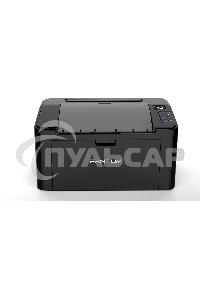 Принтер лазерный PANTUM P2516, A4, ч/б, печ. до 22 стр./мин., 600 x 600 dpi, USB, черный корпус