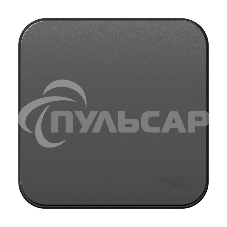 Переключатель 1-кл. ОП BLANCA (сх.6) 10А 250В изол. пласт. антрацит SchE BLNVA106016