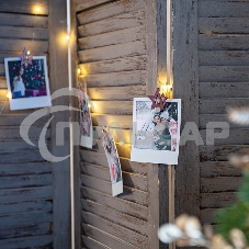 Деревянные прищепки Neon-night 