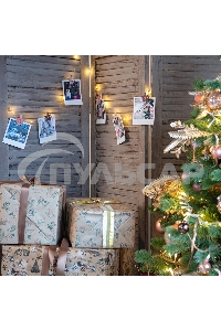 Деревянные прищепки Neon-night 