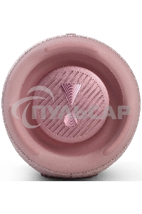 Портативная акустика JBL Charge 5, розовый