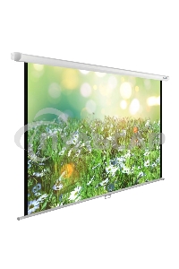 Экран Cactus 200x200см WallExpert CS-PSWE-200x200-WT 1:1 настенно-потолочный рулонный