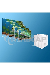 Проектор Cactus CS-PRC.04WT.WUXGA-A LCD 3200Lm (1920x1080) 2000:1 ресурс лампы:30000часов 1xUSB typeA 1xHDMI 1.35кг