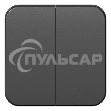 Выключатель 2-кл. ОП BLANCA (сх.5) 10А 250В изол. пласт. антрацит SchE BLNVA105016